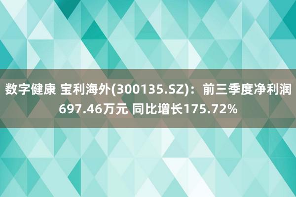 数字健康 宝利海外(300135.SZ)：前三季度净利润697.46万元 同比增长175.72%