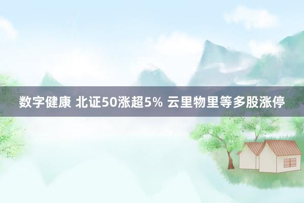 数字健康 北证50涨超5% 云里物里等多股涨停