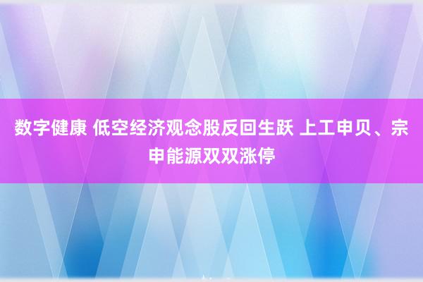 数字健康 低空经济观念股反回生跃 上工申贝、宗申能源双双涨停