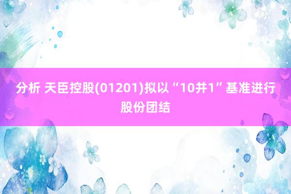 分析 天臣控股(01201)拟以“10并1”基准进行股份团结