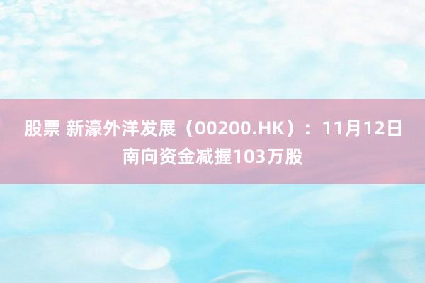 股票 新濠外洋发展（00200.HK）：11月12日南向资金减握103万股