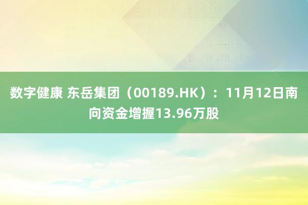 数字健康 东岳集团（00189.HK）：11月12日南向资金增握13.96万股