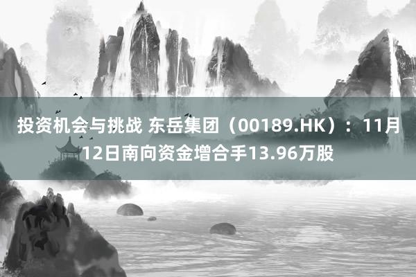 投资机会与挑战 东岳集团（00189.HK）：11月12日南向资金增合手13.96万股