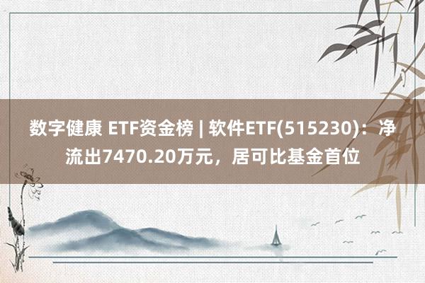 数字健康 ETF资金榜 | 软件ETF(515230)：净流出7470.20万元，居可比基金首位