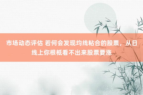 市场动态评估 若何会发现均线粘合的股票，从日线上你根柢看不出来股票要涨