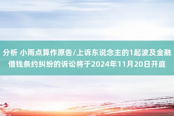 分析 小雨点算作原告/上诉东说念主的1起波及金融借钱条约纠纷的诉讼将于2024年11月20日开庭