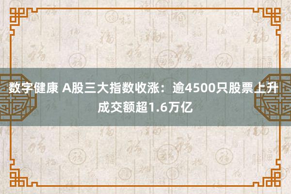 数字健康 A股三大指数收涨：逾4500只股票上升 成交额超1.6万亿