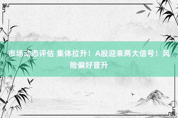 市场动态评估 集体拉升！A股迎来两大信号！风险偏好晋升