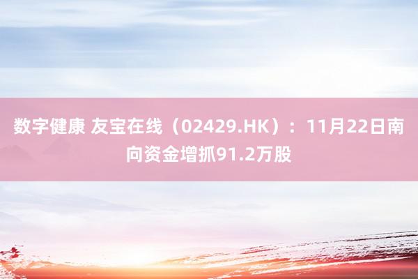 数字健康 友宝在线（02429.HK）：11月22日南向资金增抓91.2万股