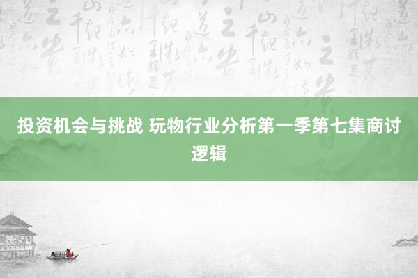 投资机会与挑战 玩物行业分析第一季第七集商讨逻辑