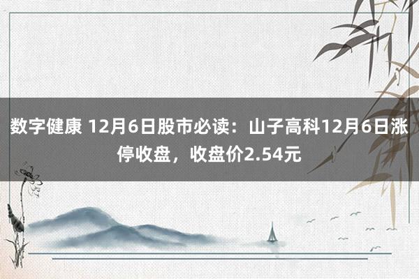 数字健康 12月6日股市必读：山子高科12月6日涨停收盘，收盘价2.54元