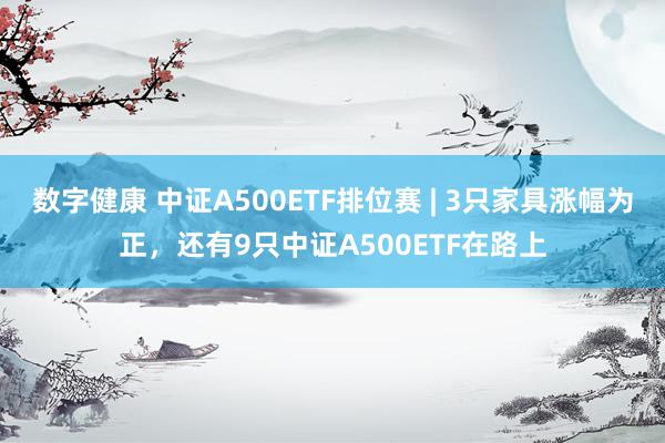 数字健康 中证A500ETF排位赛 | 3只家具涨幅为正，还有9只中证A500ETF在路上