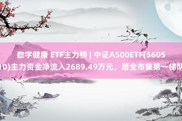 数字健康 ETF主力榜 | 中证A500ETF(560510)主力资金净流入2689.49万元，居全市集第一梯队