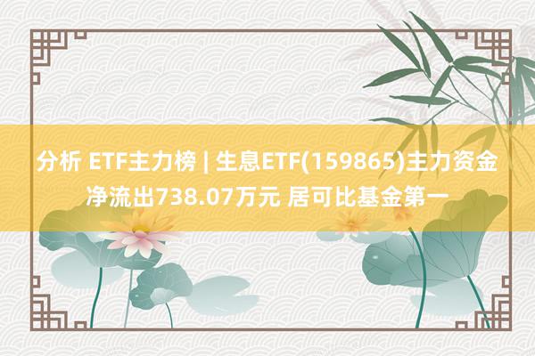 分析 ETF主力榜 | 生息ETF(159865)主力资金净流出738.07万元 居可比基金第一