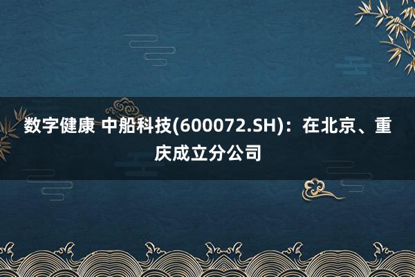 数字健康 中船科技(600072.SH)：在北京、重庆成立分公司