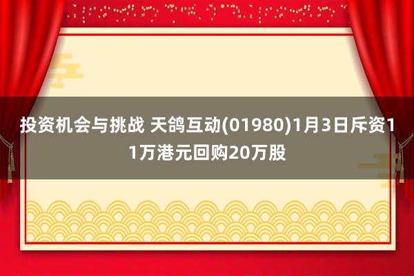 投资机会与挑战 天鸽互动(01980)1月3日斥资11万港元回购20万股