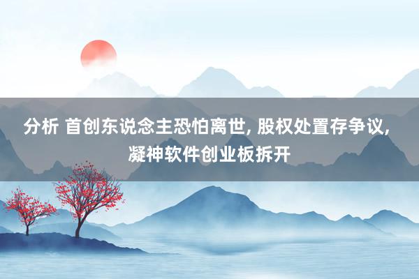 分析 首创东说念主恐怕离世, 股权处置存争议, 凝神软件创业板拆开