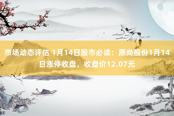 市场动态评估 1月14日股市必读：原尚股份1月14日涨停收盘，收盘价12.07元