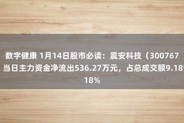 数字健康 1月14日股市必读：震安科技（300767）当日主力资金净流出536.27万元，占总成交额9.18%