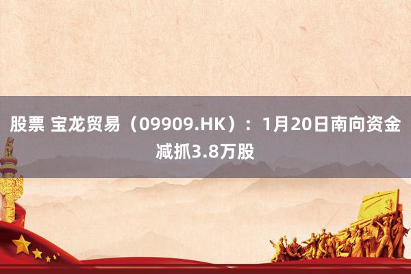 股票 宝龙贸易（09909.HK）：1月20日南向资金减抓3.8万股