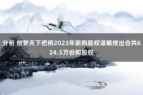 分析 创梦天下把柄2023年新购股权谋略授出合共624.5万份购股权