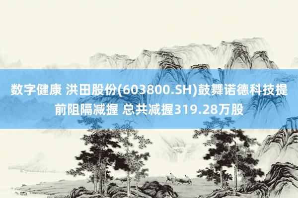 数字健康 洪田股份(603800.SH)鼓舞诺德科技提前阻隔减握 总共减握319.28万股