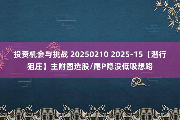 投资机会与挑战 20250210 2025-15【潜行狙庄】主附图选股/尾P隐没低吸想路