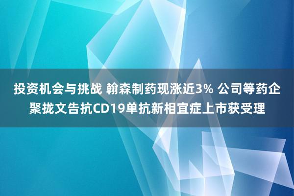 投资机会与挑战 翰森制药现涨近3% 公司等药企聚拢文告抗CD19单抗新相宜症上市获受理