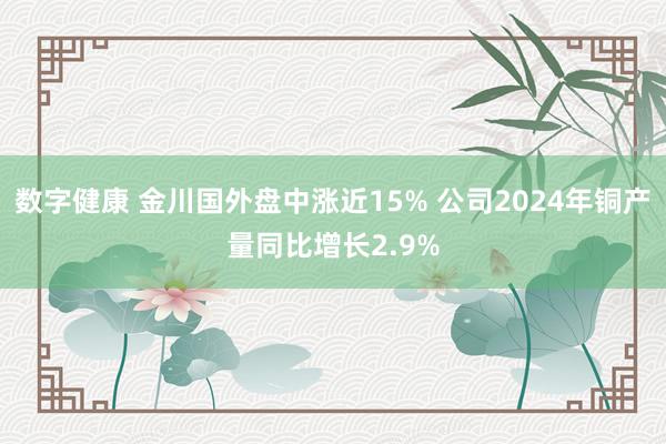 数字健康 金川国外盘中涨近15% 公司2024年铜产量同比增长2.9%