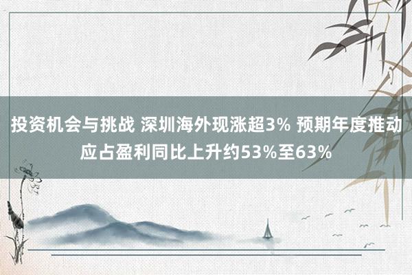 投资机会与挑战 深圳海外现涨超3% 预期年度推动应占盈利同比上升约53%至63%