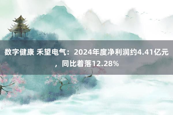 数字健康 禾望电气：2024年度净利润约4.41亿元，同比着落12.28%