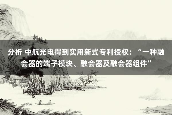 分析 中航光电得到实用新式专利授权：“一种融会器的端子模块、融会器及融会器组件”