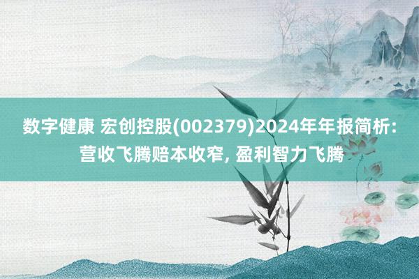 数字健康 宏创控股(002379)2024年年报简析: 营收飞腾赔本收窄, 盈利智力飞腾