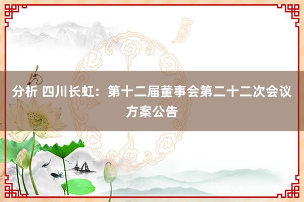 分析 四川长虹：第十二届董事会第二十二次会议方案公告