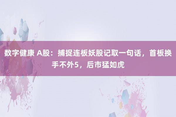 数字健康 A股：捕捉连板妖股记取一句话，首板换手不外5，后市猛如虎